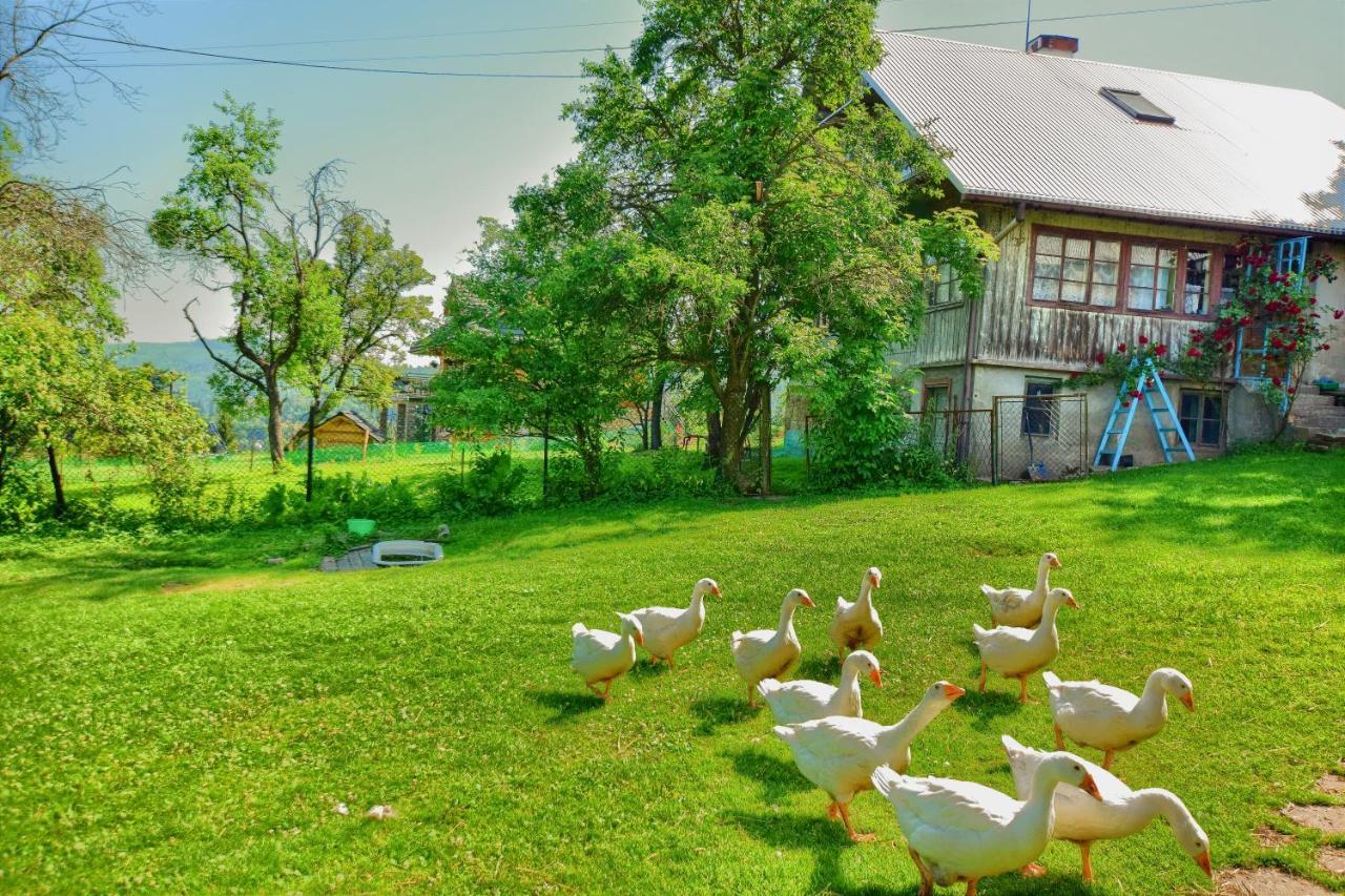 Feriehus U Kuliga Wisła